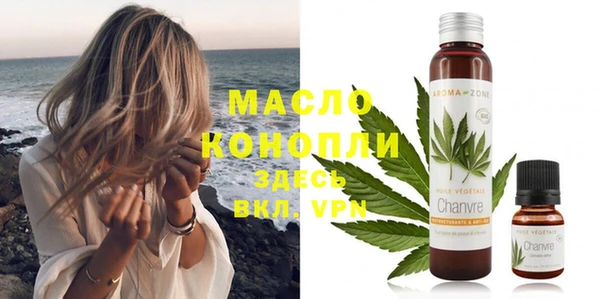 твердый Верхний Тагил