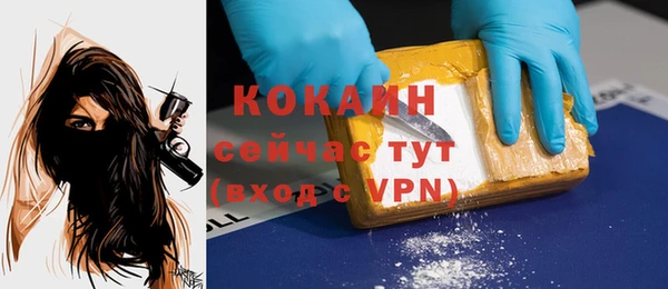 твердый Верхний Тагил