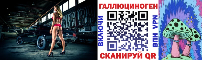 omg вход  Кадников  Галлюциногенные грибы Cubensis 